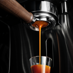 Breville The Naked Portafilter
