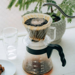Hario Pegasus Dripper